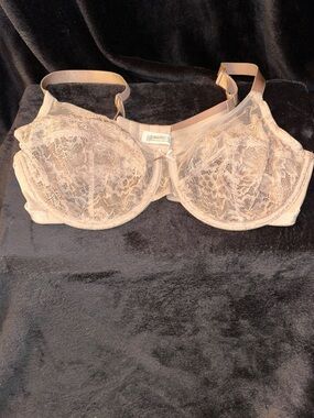 Sheer Lace Underwire Bra in Light Nude